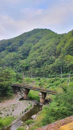 수라리재가는길..