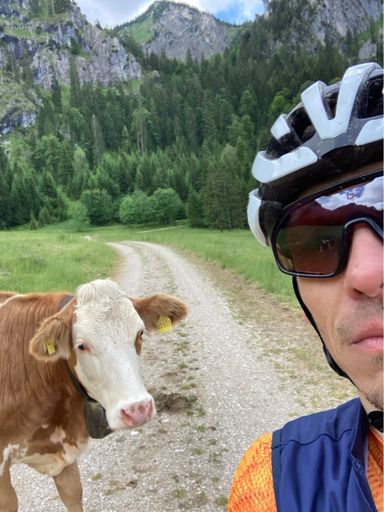 Andi ist nicht auf dem Foro