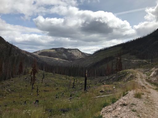 This pathfinding ride was going to involve some rough roads.