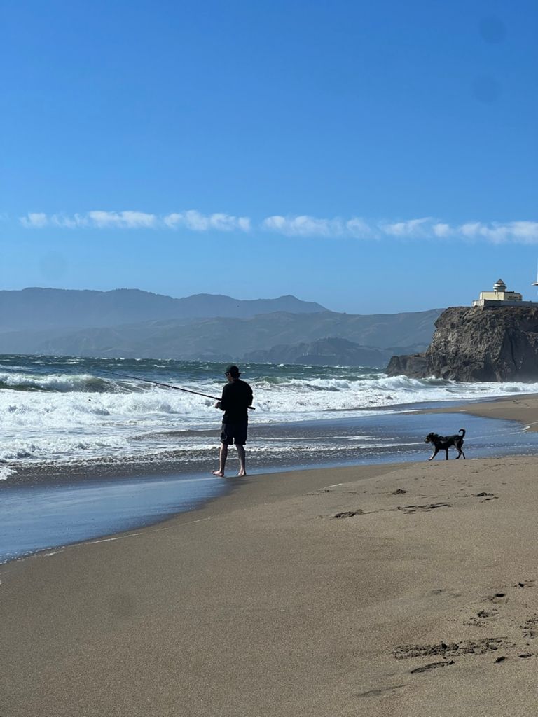 Butterlap (Presidio & Golden Gate Park)的照片 24