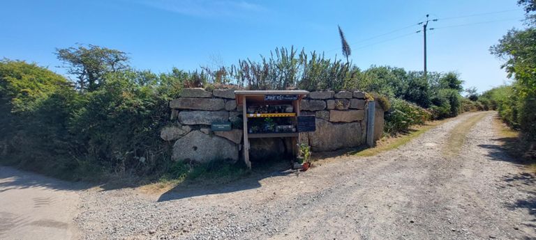 Self-service offers like this frequented our journey round Britain. This was novel when I photographed it. At a farm east of St Buryan.
