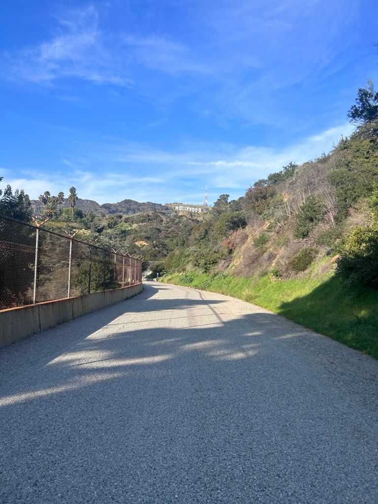 NBB run - Lake Hollywood photo 27