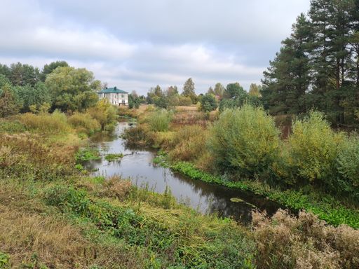 Река Орша в Лукино.