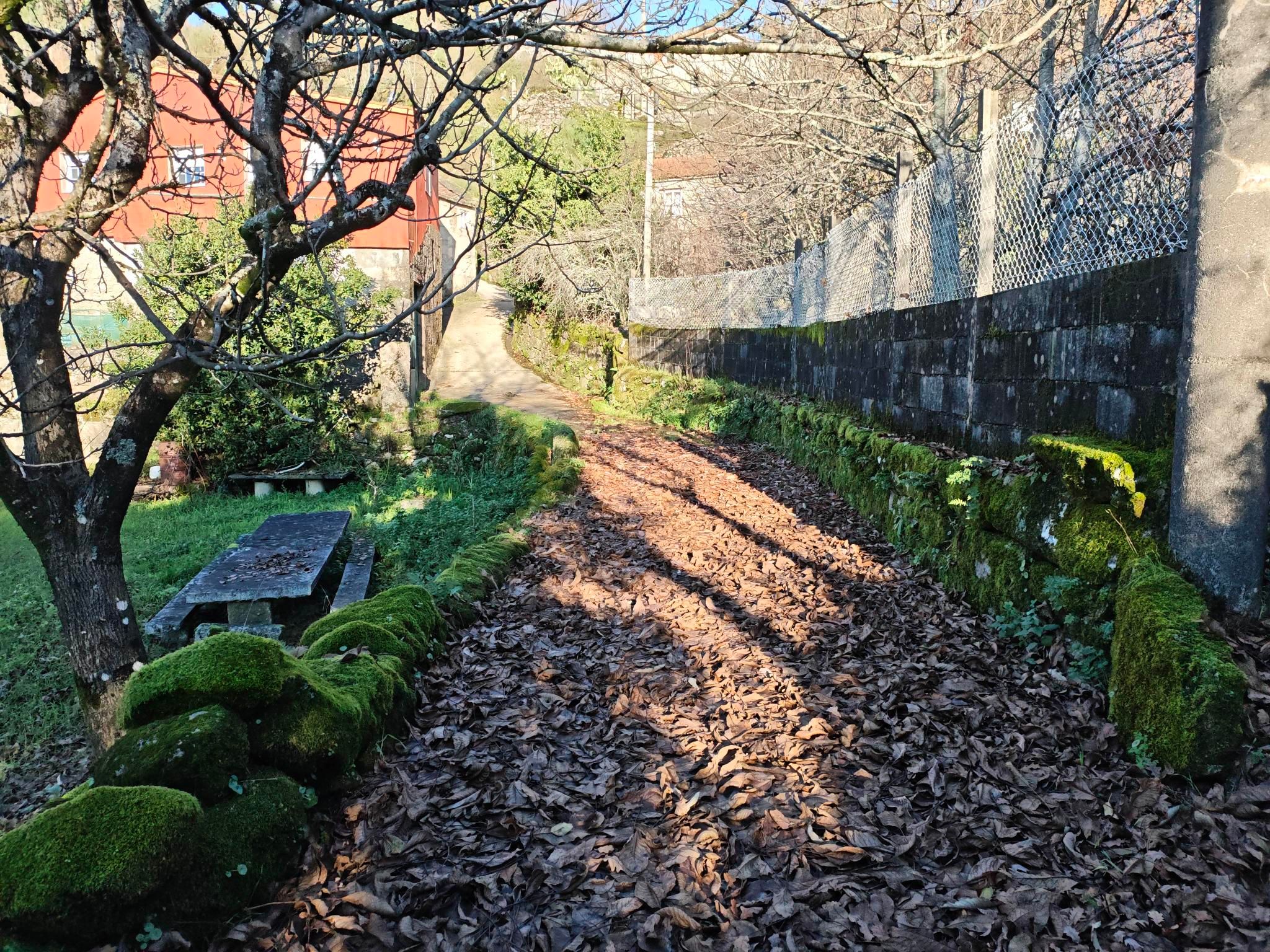 Entrando en faena, metinme a cheirar as rúas urbanas de Lourido, entre A Ermida e Barciademera. Rúas que nin os viciños deben usar 🤦...