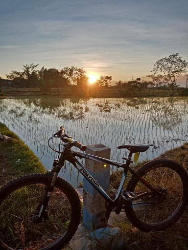 Pagiiii semua,. 😎