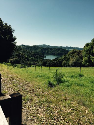 Briones looking pretty full!