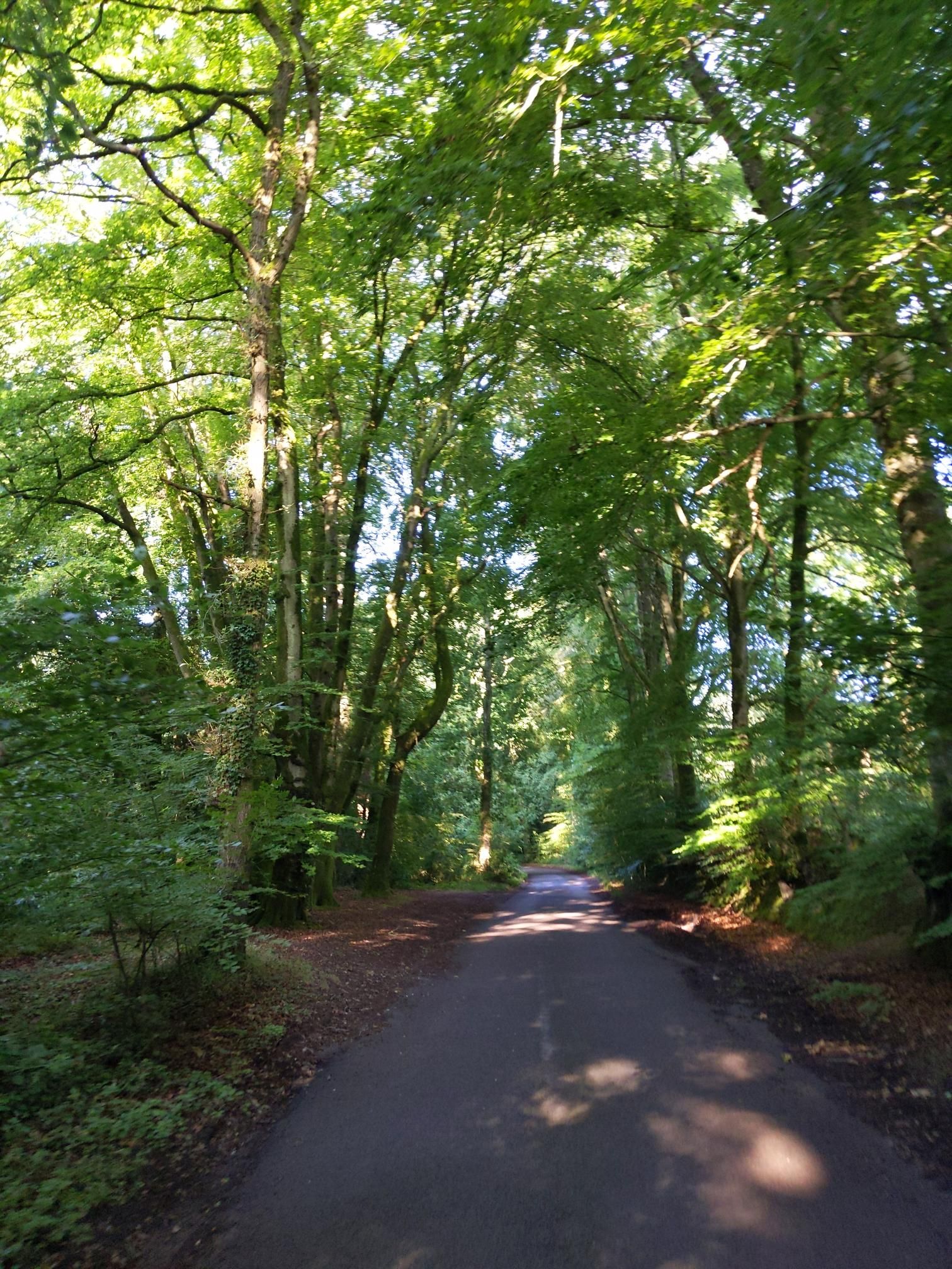 Skipton to Lands End - Day 5 photo 2