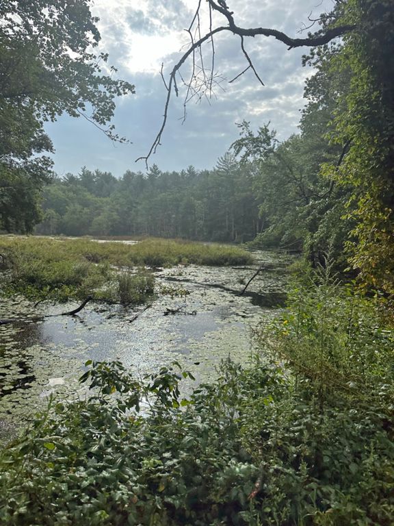 Reading Cycle Routes 40 Loop Reading | 39.8 mi Cycling Route on Strava