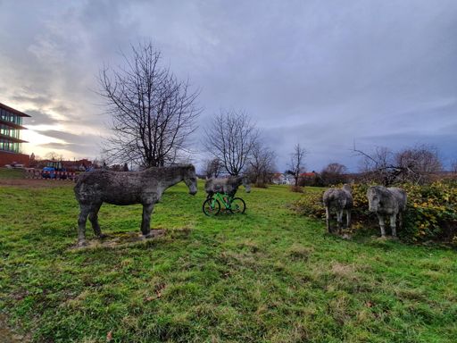 5.ps und die leben immernoch. Beton- machwasdraus