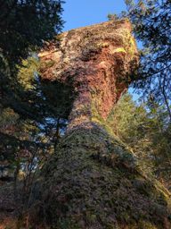 Tour dans forêt de Taintrux avant la séance d’escalade