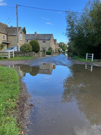 And these two, although got a little bit wet
