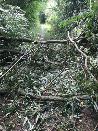Unusual single-track and obstacle (for a eurovelo route)