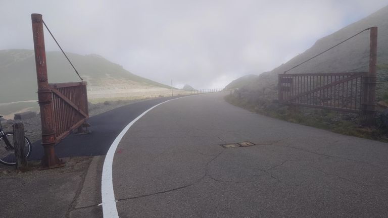 去年は閉じられてたゲート、今年は開いてました。