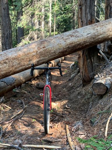 Limbo opportunity on The Gateway