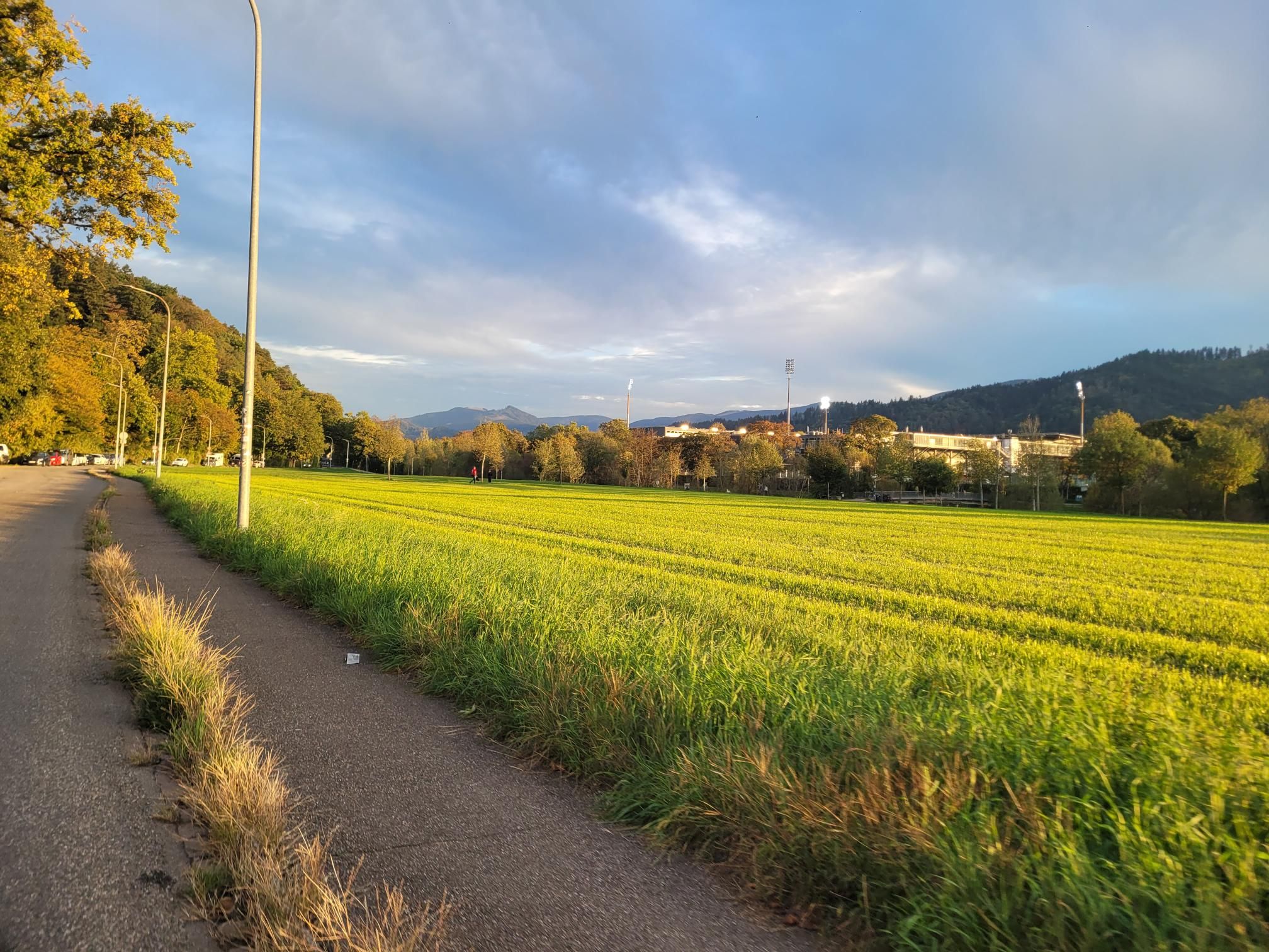 Activity photo