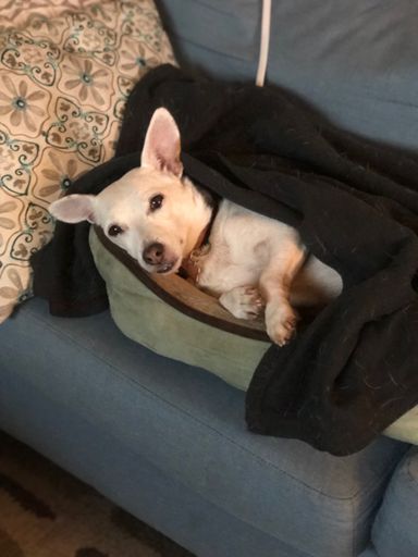 What?? You’re going riding again?