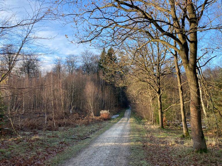 route-highlight