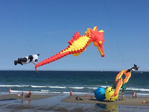 Crazy Kites