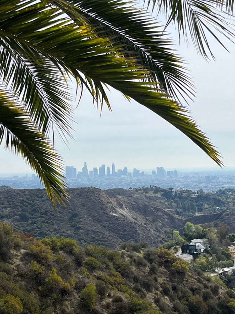 NBB run - Lake Hollywood photo 171