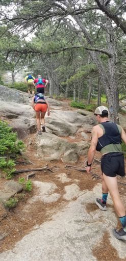 Granite for miles and miles and miles.  