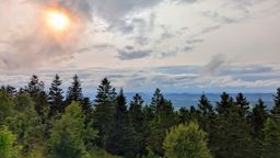 Cascade des Molières et Sapin sec