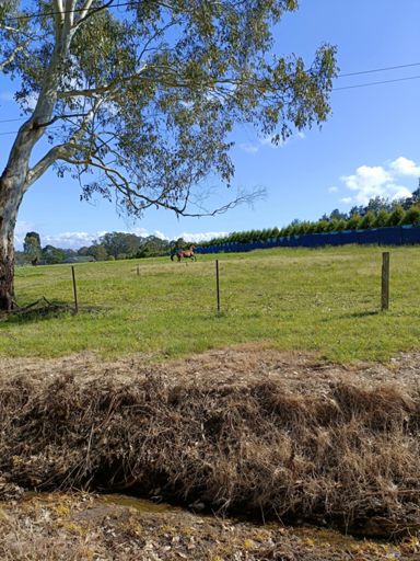 He wasn't too keen on me standing there