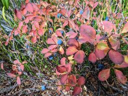 Le Luisin lac de Salanfe
