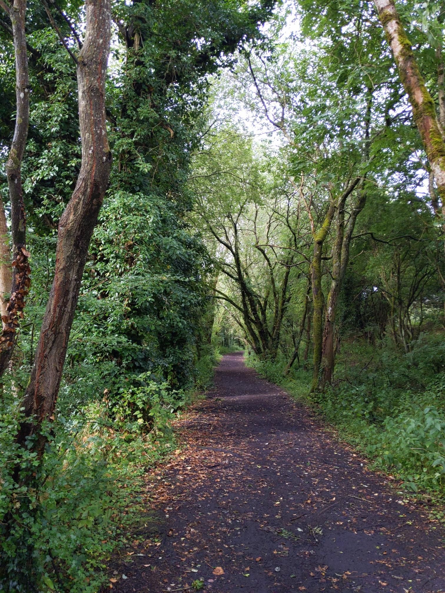 Skipton to Lands End - Day 4 photo 4