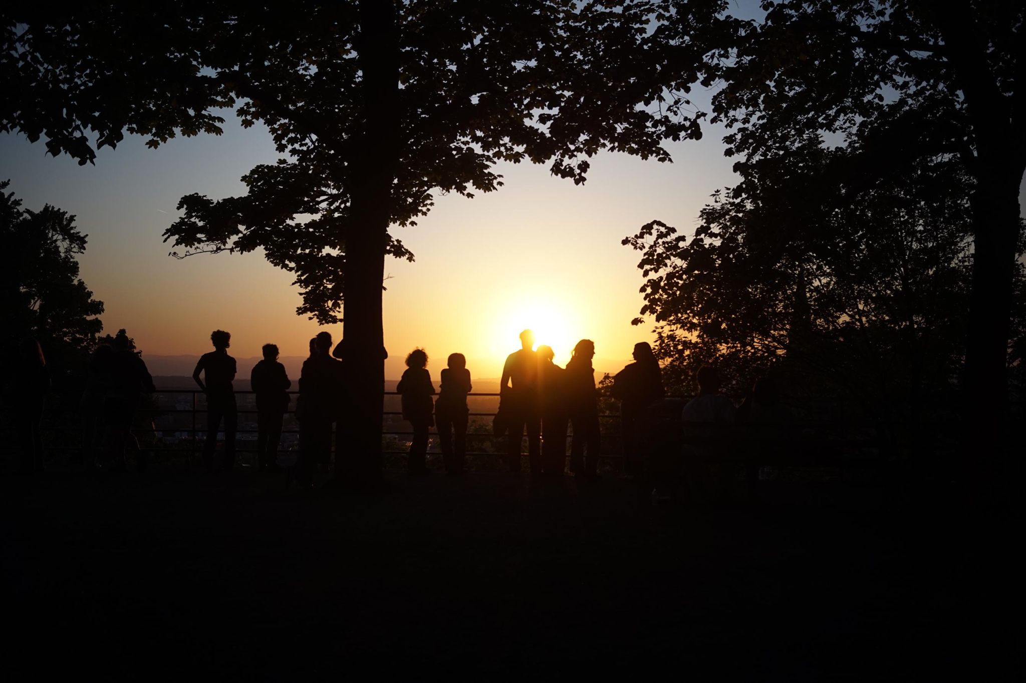 Activity photo