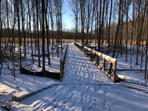 Another new bridge in the park!  Our donations each year help fund these new projects!