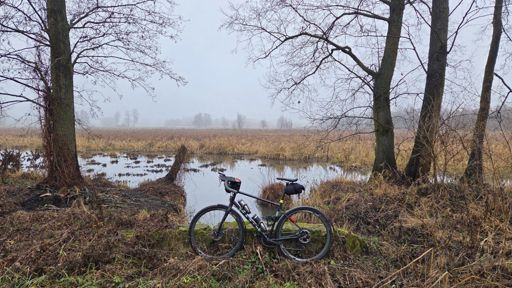 Starorzecza za Ślubowem