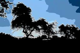 Sortie à vélo nocturne