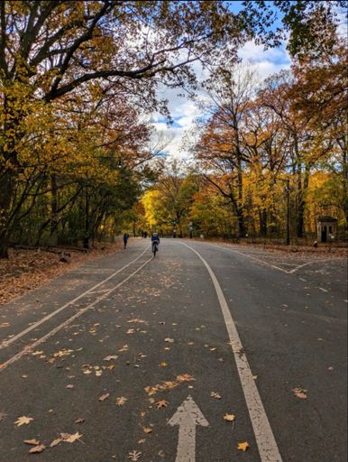 Pic stolen from my friend Phil, who I used to ride with in Austin. He lives in NY now and neither of us get back to Austin much. Hi Phil 👋