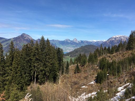 Blick Ruchtung Mythen und Fronalpstock