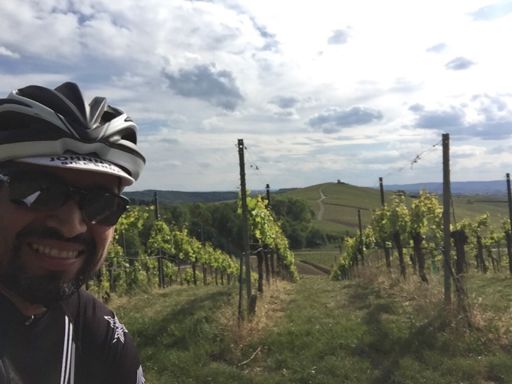 Vineyards and products fields are just turning out, cool to see so much green back