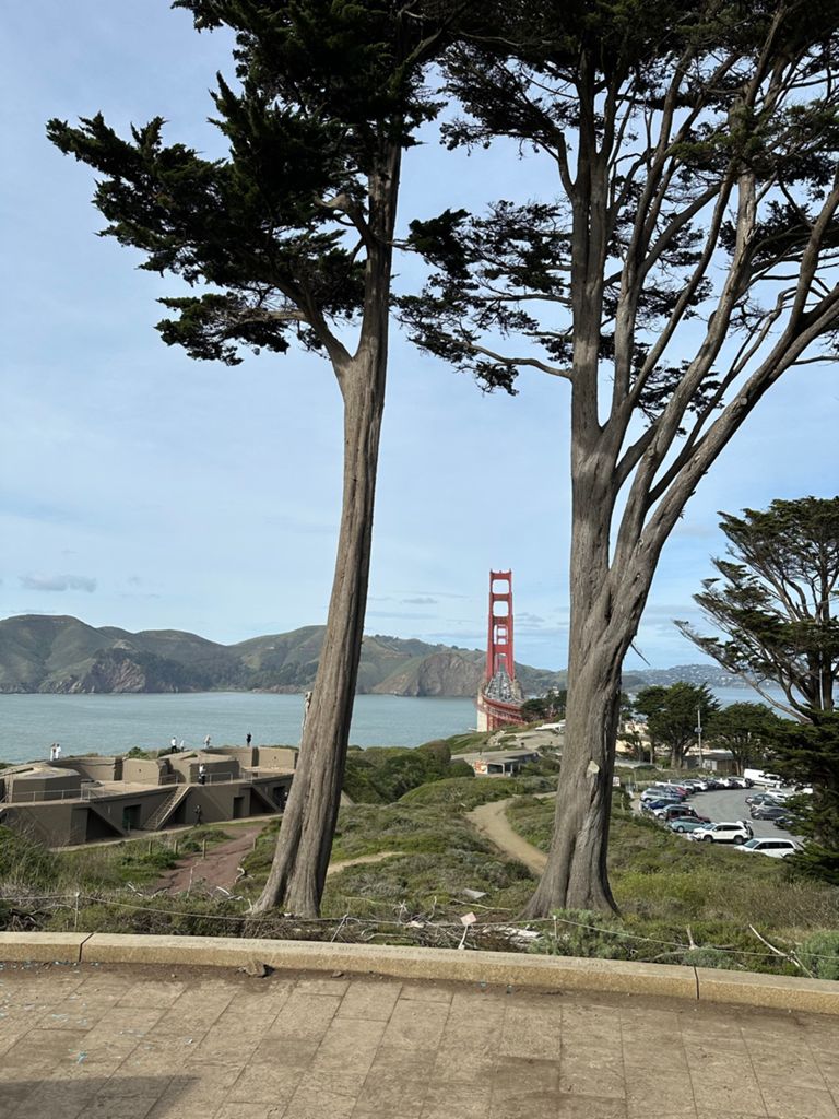 Butterlap (Presidio & Golden Gate Park) photo 160