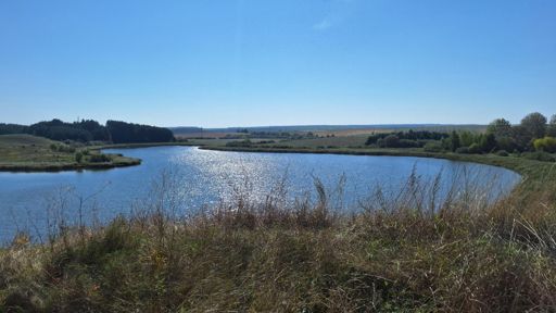 Вид з городища на водойму