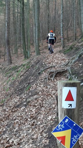 Finde den Unterschied Pfalz zu BW