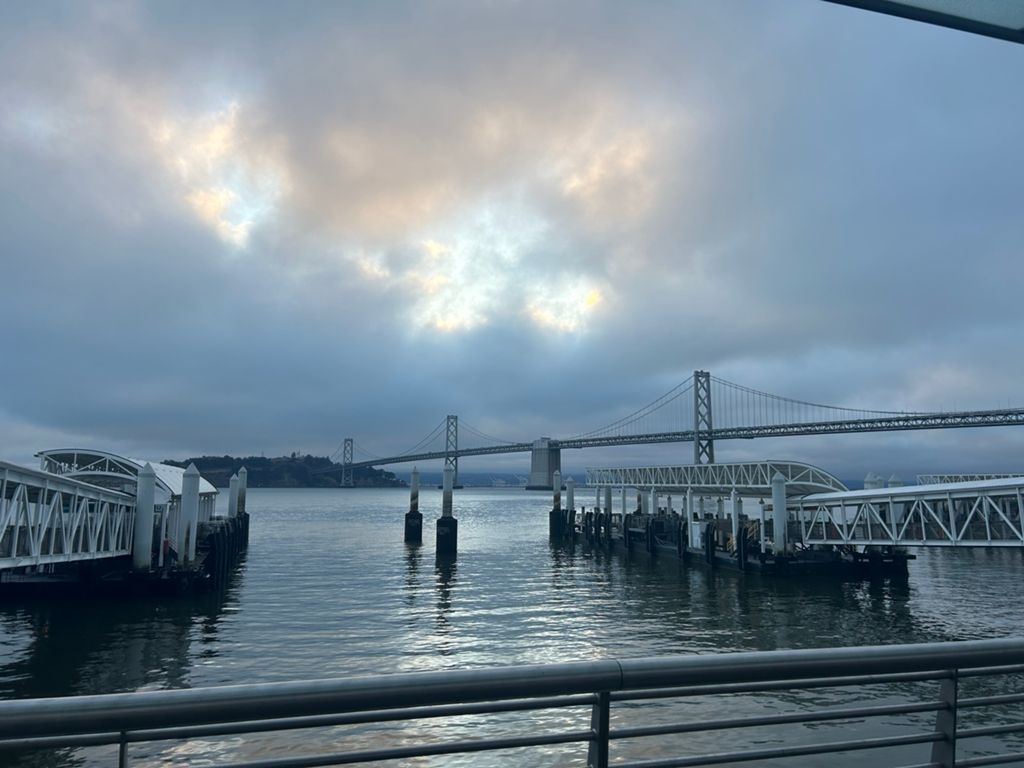 Butterlap (Presidio & Golden Gate Park) photo 84