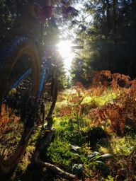 VTT + marche dans les parages