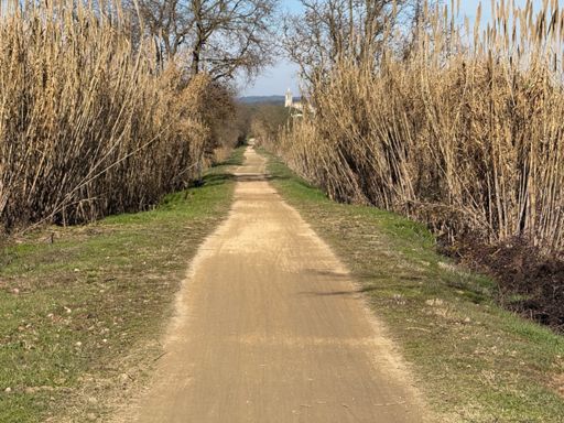 The lonely road home.
