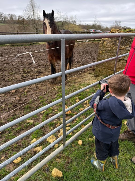 Morning Walk - Guiting Power dog walk