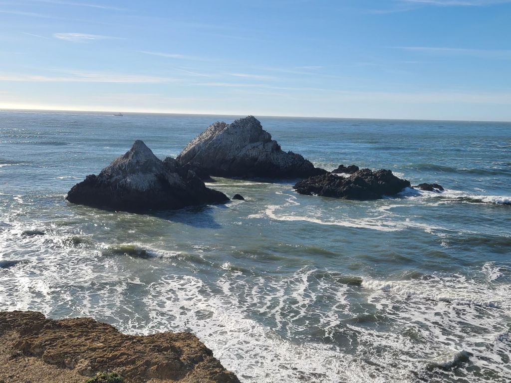 Butterlap (Presidio & Golden Gate Park)的照片 56