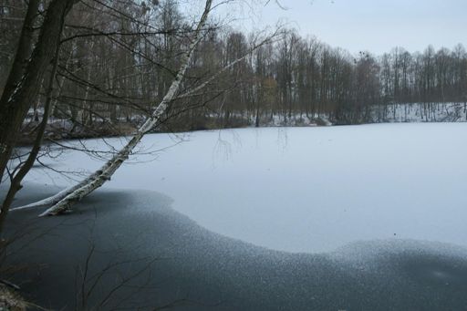 Still und starr ruht der Lucretiasee