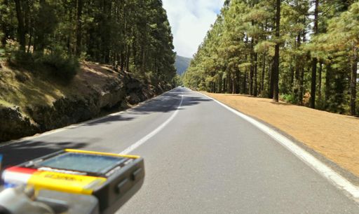 Up to Teide in the forest