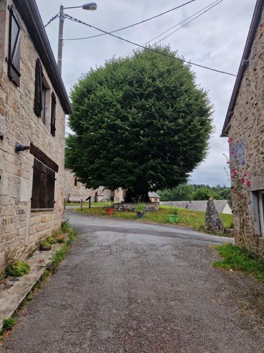 Le tilleul de Sully a Bonnefond