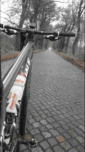 Jugendstil mit Profil