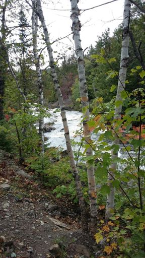 Le p'tit train du Nord - Les Laurentides
