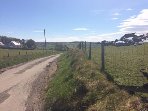 Black bin bags caught on barbed wire -wind indicator 😀