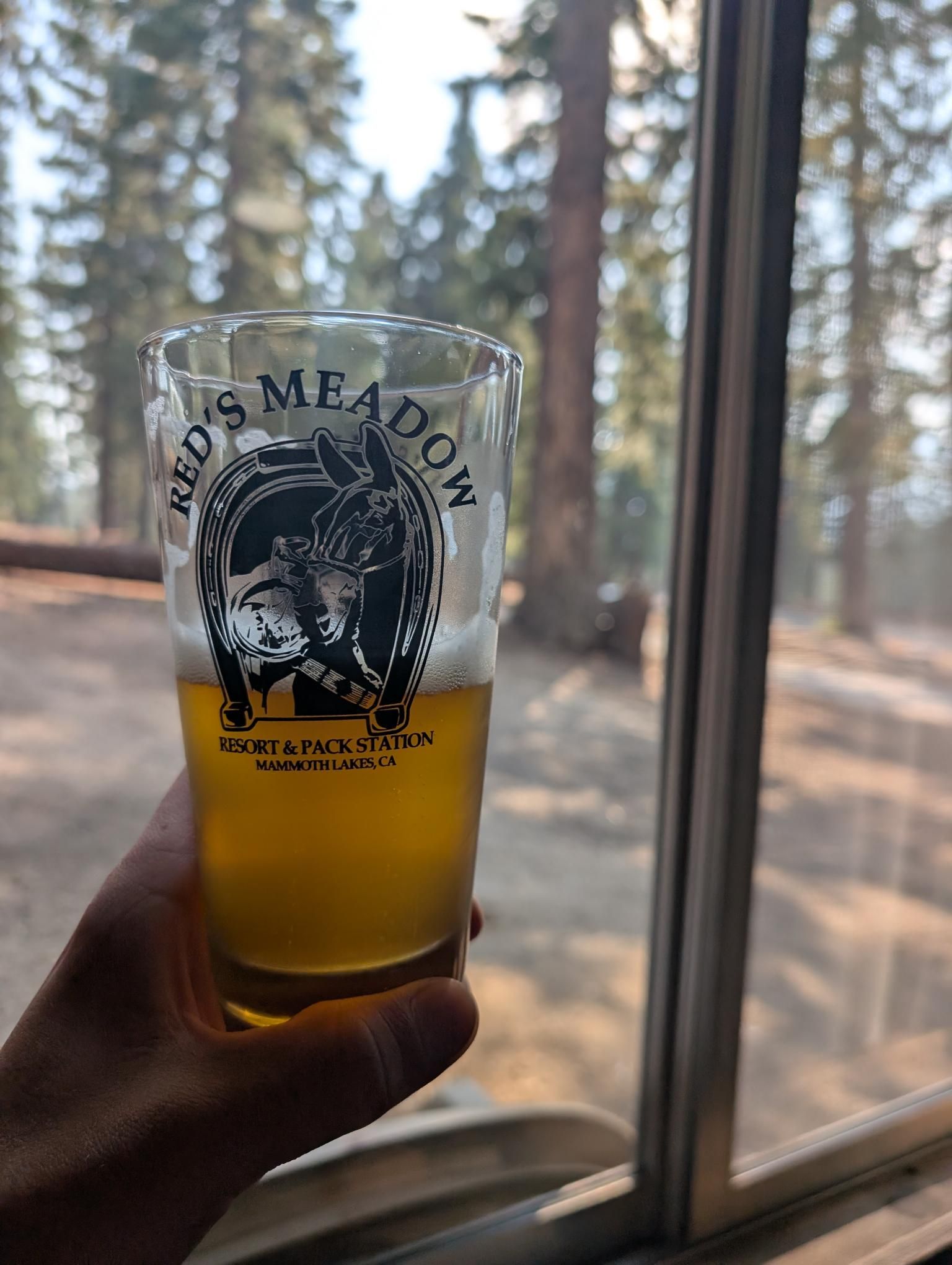 JMT - Day 11 photo 10